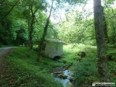 Parque Natural Pagoeta_Valle Leitzaran;rutas a caballo sierra de madrid mercadillo medieval madrid s